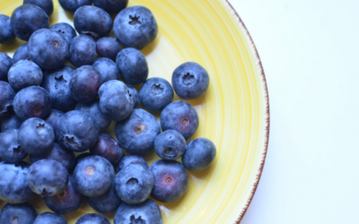 Boost your recovery with blueberries